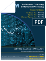 Professional Computing & Information Processing Handbook