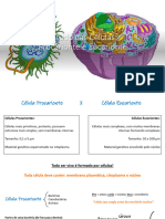 Aula 3 - Estudo Das Células - Procarionte e Eucarionte