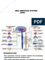 Autonomic Nervous System