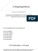 Ciclos Biogeoquímicos