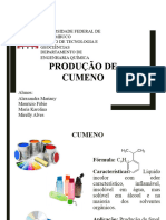 Slideppproducaocumeno