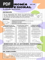 Infografía de La Autonomía Profesional