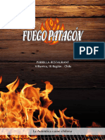 Carta Fuego Patagon 06 01 2024 1450