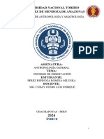 Informe de Observación