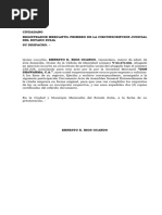 PDF Documento