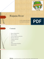 Rispana River