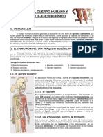 El Cuerpo Humano y El Ejercicio Físico - Tema para 1º ESO