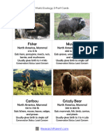 World Zoology 2-Part Cards