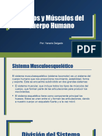 Huesos y Músculos Del Cuerpo Humano