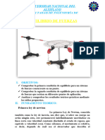 Fisica Informe de Equilibrio de Fuerzas Unap