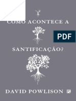 Como Acontece A Santificacao - David Powlison