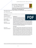 Witno - Assessing Carbon Dioxide (CO) Absorption Potential of Forests