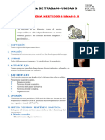 Sistema Nervioso Humano II para Segundo Grado de Secundaria