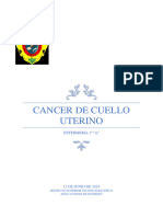 Cancer de Cuello Uterino