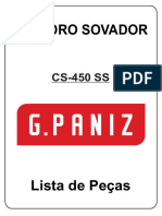 G. Paniz - CS-450 - R.07 - 2022 - 240822XXXXXX - Atual