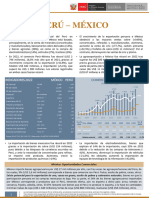 RCB México - Anual 2022 Versión Completa