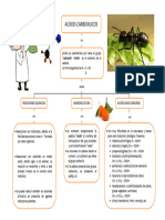 Acidos Carboxilicos