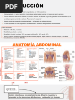 6 Trauma Abdominal Presentacion