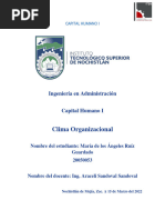 Clima Organizacional - Capital Humano