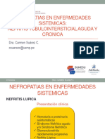 Nefrologia. Nefropatias Intersticiales. Usmp. 2022 - Ii