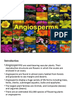 The Angiosperms