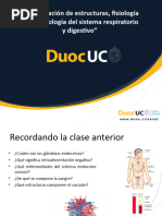 2 1 1 Ppt4 Identificacion de Estructuras Fisiologia y Fisiopatologia Del Sistema Respiratorio y Digestivo