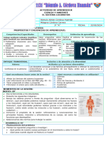 Duplicado Actividad de Aprendizaje