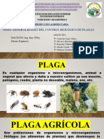 Generalidades Del Control Biológico de Plagas