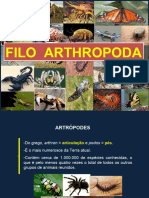 11 Artrópodes