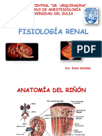 Fisiología Renal