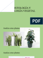 Histologia y Fisiologia Vegetal