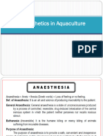  Anesthetics in Aquaculture