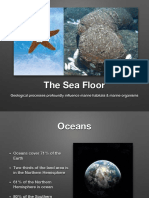 02-2300-Sea Floor