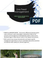 Live Feed Management 2024. Green and Brown Water