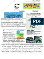 Infografía Periódico Educación Ambiental Illustrativo Neutro