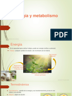 Cap.4 - Energía y Metabolismo