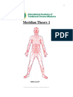 Meridian Theory 1 Class Notes 2022 With REVIEW