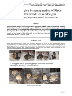 Pharmacological Screening Method of Rhode Island Red Breed Hen in Jalpaiguri