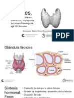 Seminario Tiroides