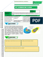 A-4º Act 1-Cyt-Und 2 - Sem 1-1