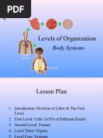 Levels of Organization: Body Systems