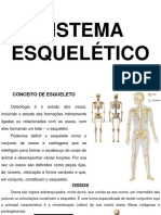 Unidade 2. Sistema Esquelético