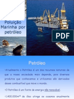 Poluição Marinha Por Petróleo2