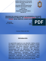 Proceso de Cuidado Humano de Enfermeria A Paciente Con Diagnostico Médico de Área de en El Hospital Clínico Universitario