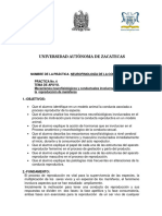 Méndez Santos - Práctica 6. Neurofisliologia de La Conducta Sexual en Rata