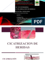 CICATRIZACIN