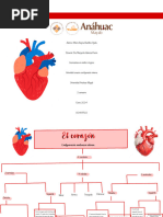 Corazón Tarea Anato Maria Regina