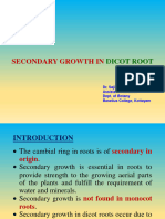 Secondary Growth in Dicot Root