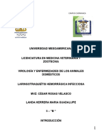 Laringotraqueítis Hemorrágica Infecciosa