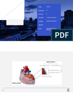 Enfermedades Del Pericardiopdf - 240320 - 074926